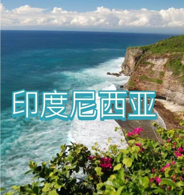 国际电商(印尼)产业博览会冰球突破平台2025中国