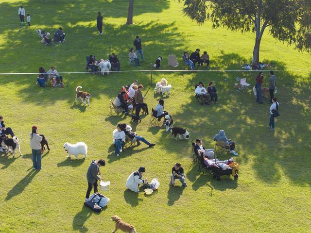 片揭露露营热退潮后藏着残酷真相冰球突破上帝视角惊爆！数万张照(图4)